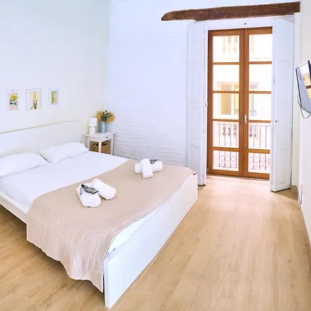 Splendid In Valensiya