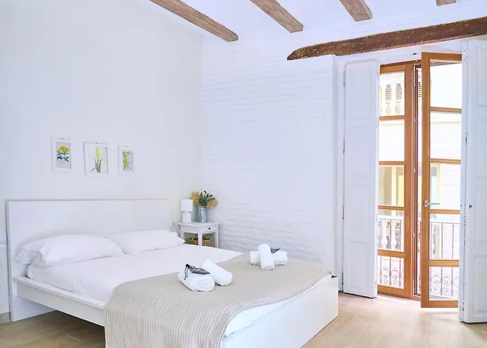 Splendid In Apartment